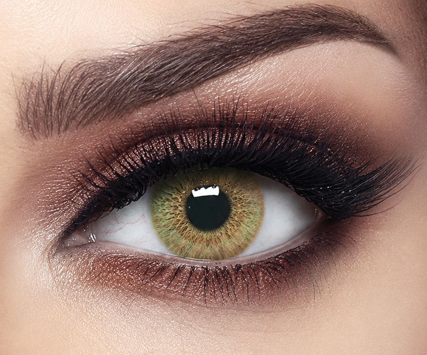 Bella Wild Honey Contact Lens | Elite